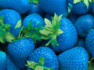 Patent Blue V Food Colour Supplier