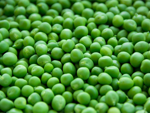 #1 Pea Green Food Colour Manufacturer in India
